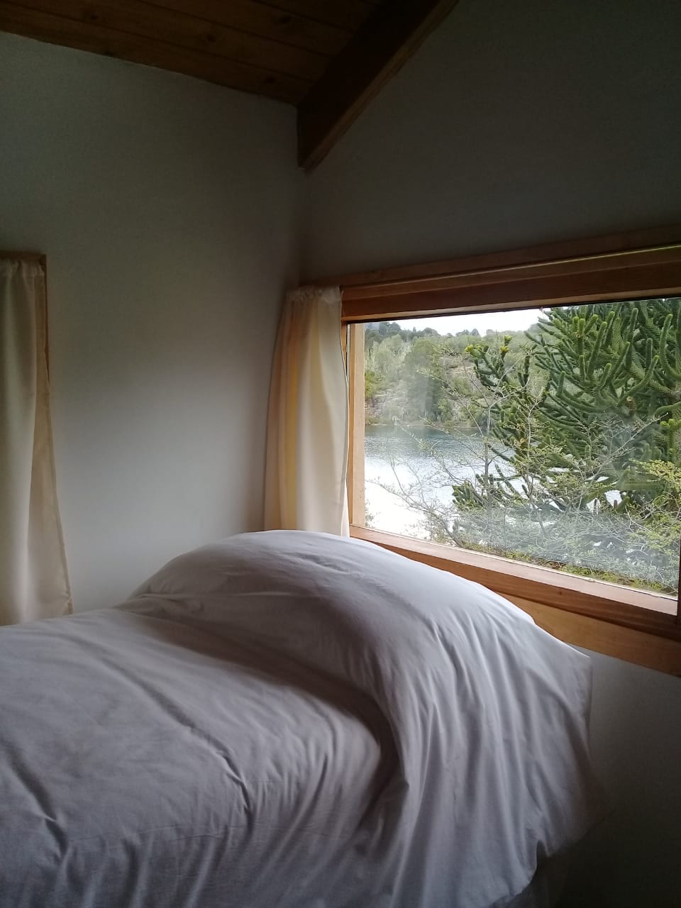 Cama junto a una ventana con vista al agua y a una araucaria.