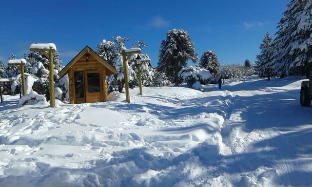 Caseta de madera en un paisaje nevado