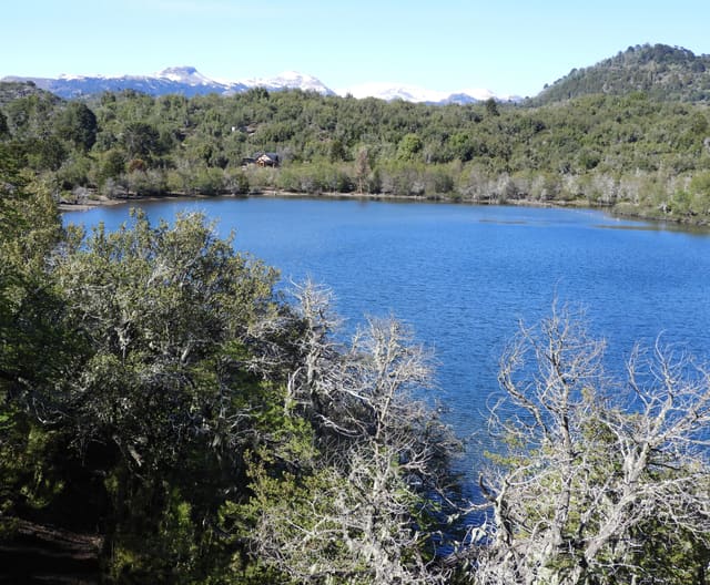 Lago azul entre árboles con montañas nevadas al fondo
