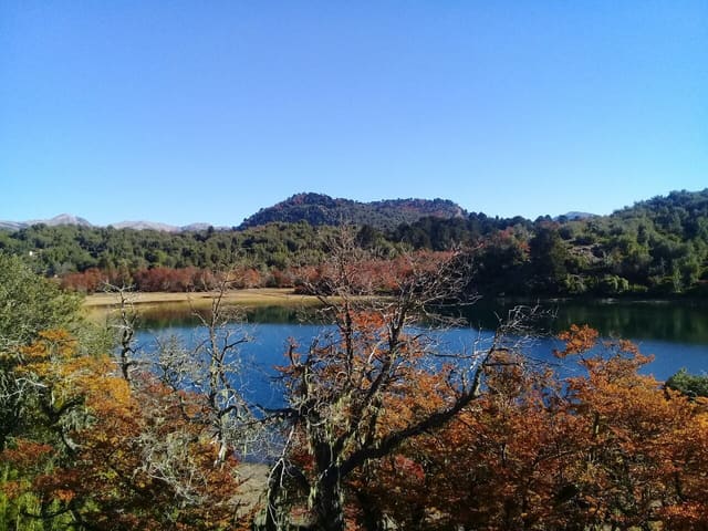 Lago entre ramas y árboles otoñales