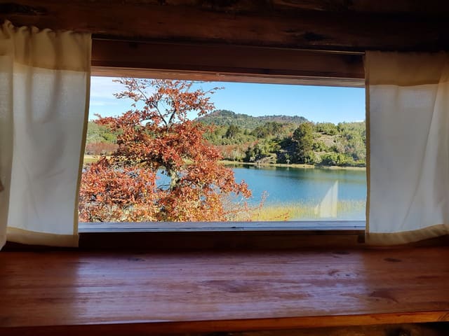 Lago y árbol rojizo vistos desde la ventana de una cabaña